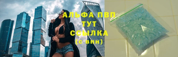 прущие грибы Абаза