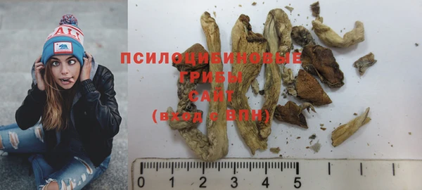прущие грибы Абаза