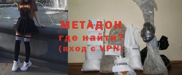 прущие грибы Абаза