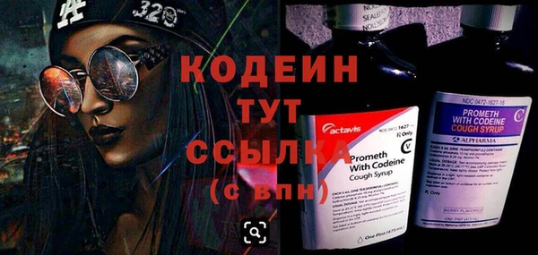 прущие грибы Абаза