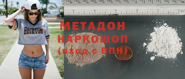 прущие грибы Абаза