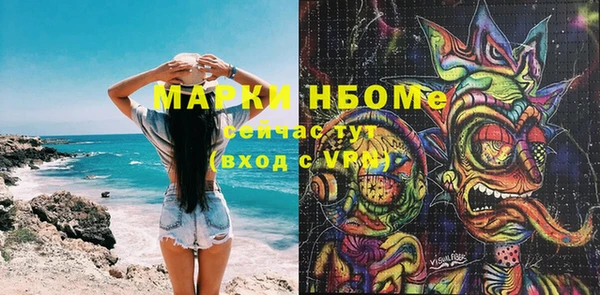 индика Переславль-Залесский