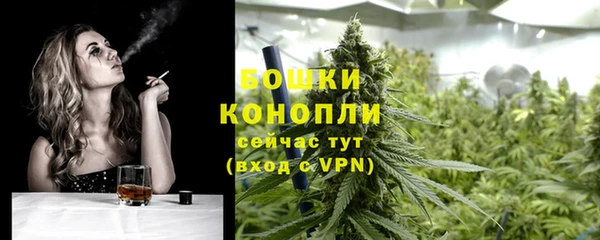 прущие грибы Абаза